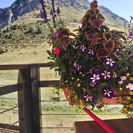 Studio Sur Les Pistes Баньєр-де-Бігорр Екстер'єр фото